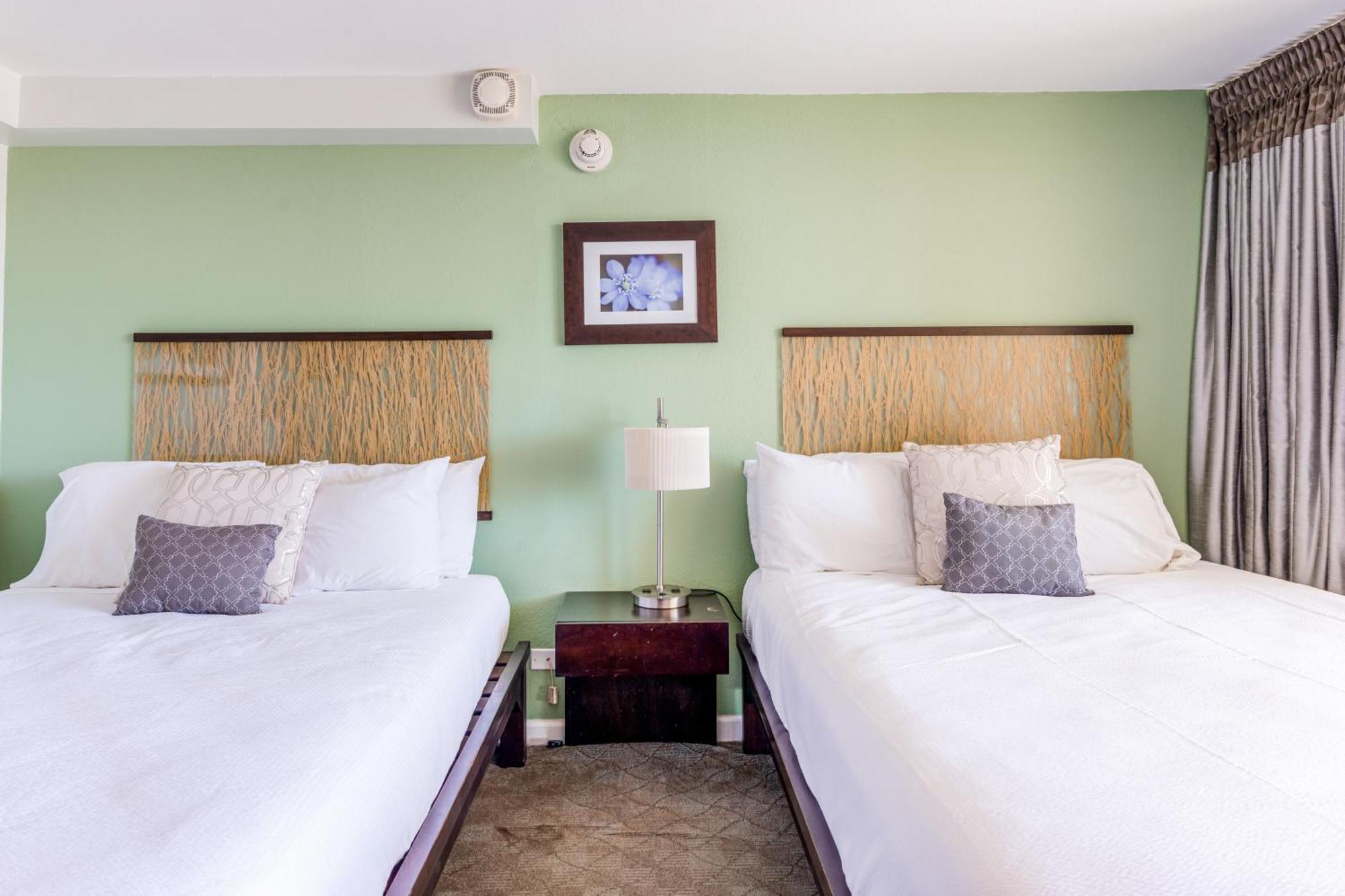 Island Colony Suites Honolulu Værelse billede